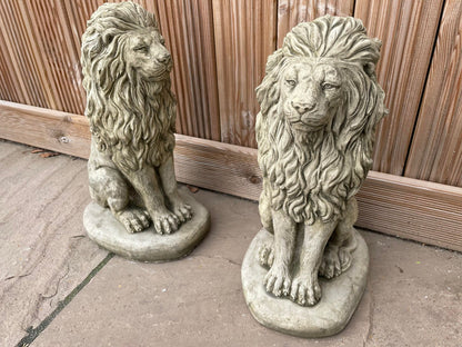 Pair of Sitting Lion Statue's - Backyard Bliss