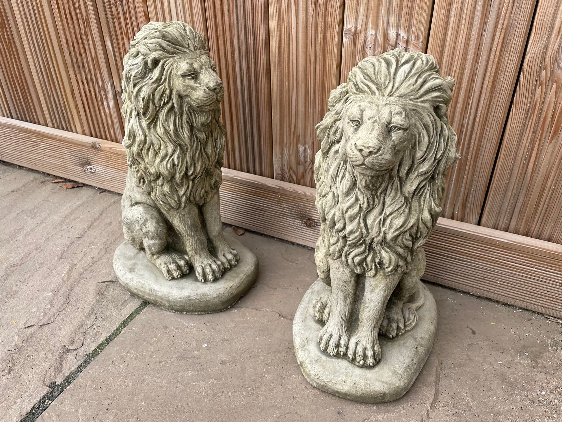 Pair of Sitting Lion Statue's - Backyard Bliss