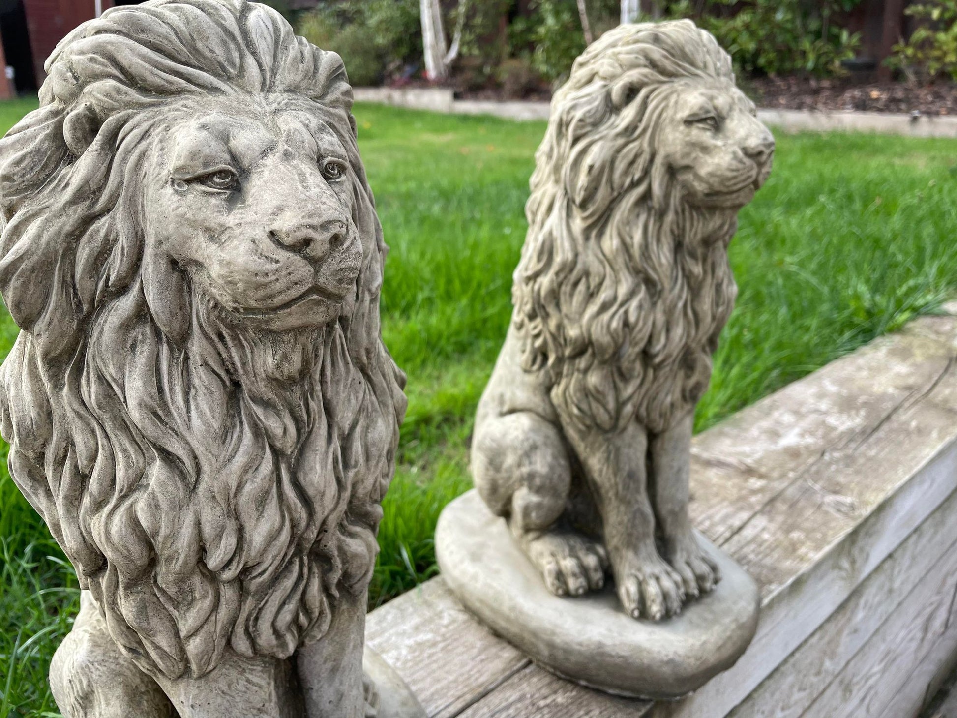 Pair of Sitting Lion Statue's - Backyard Bliss