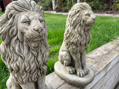 Pair of Sitting Lion Statue's - Backyard Bliss