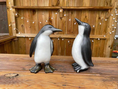 Perky Penguins - Backyard Bliss