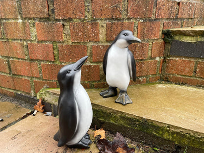 Perky Penguins - Backyard Bliss