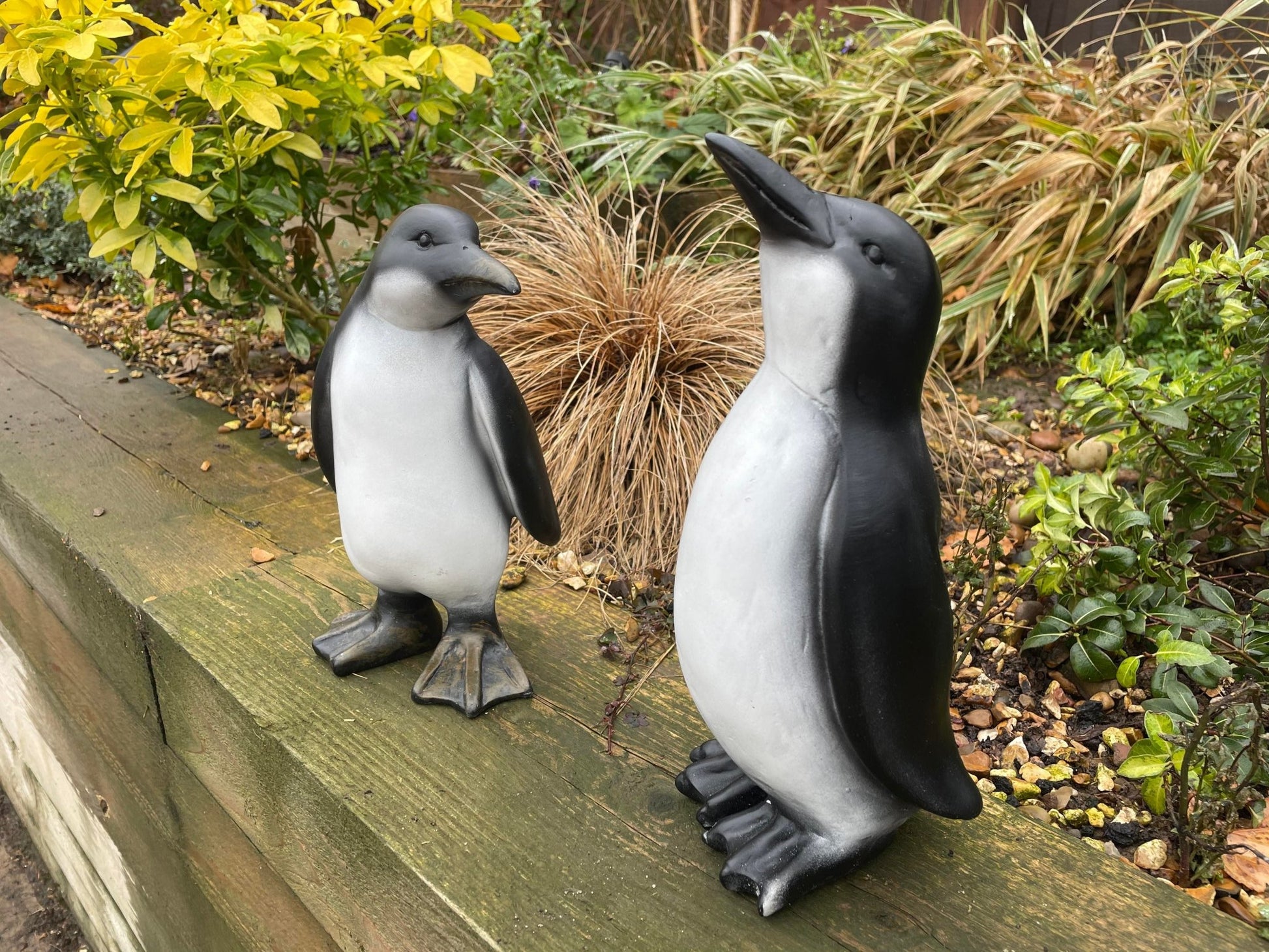 Perky Penguins - Backyard Bliss