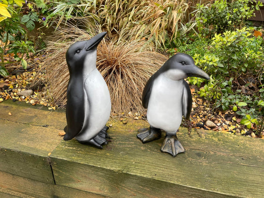 Perky Penguins - Backyard Bliss