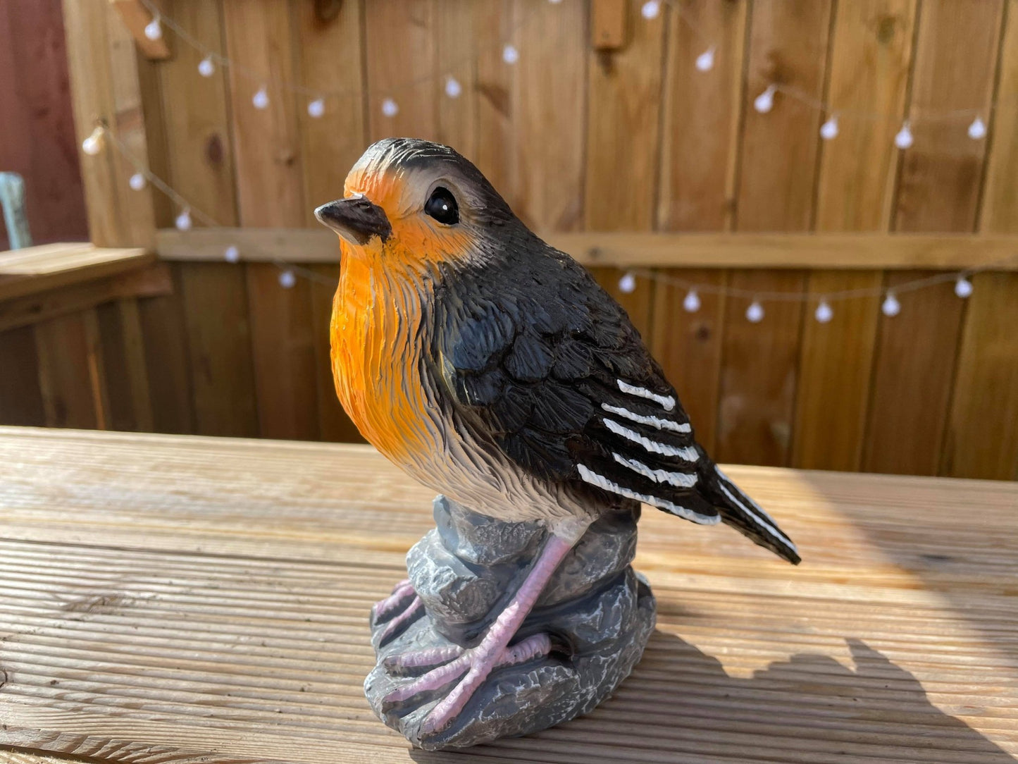 Radiant Robins - Backyard Bliss