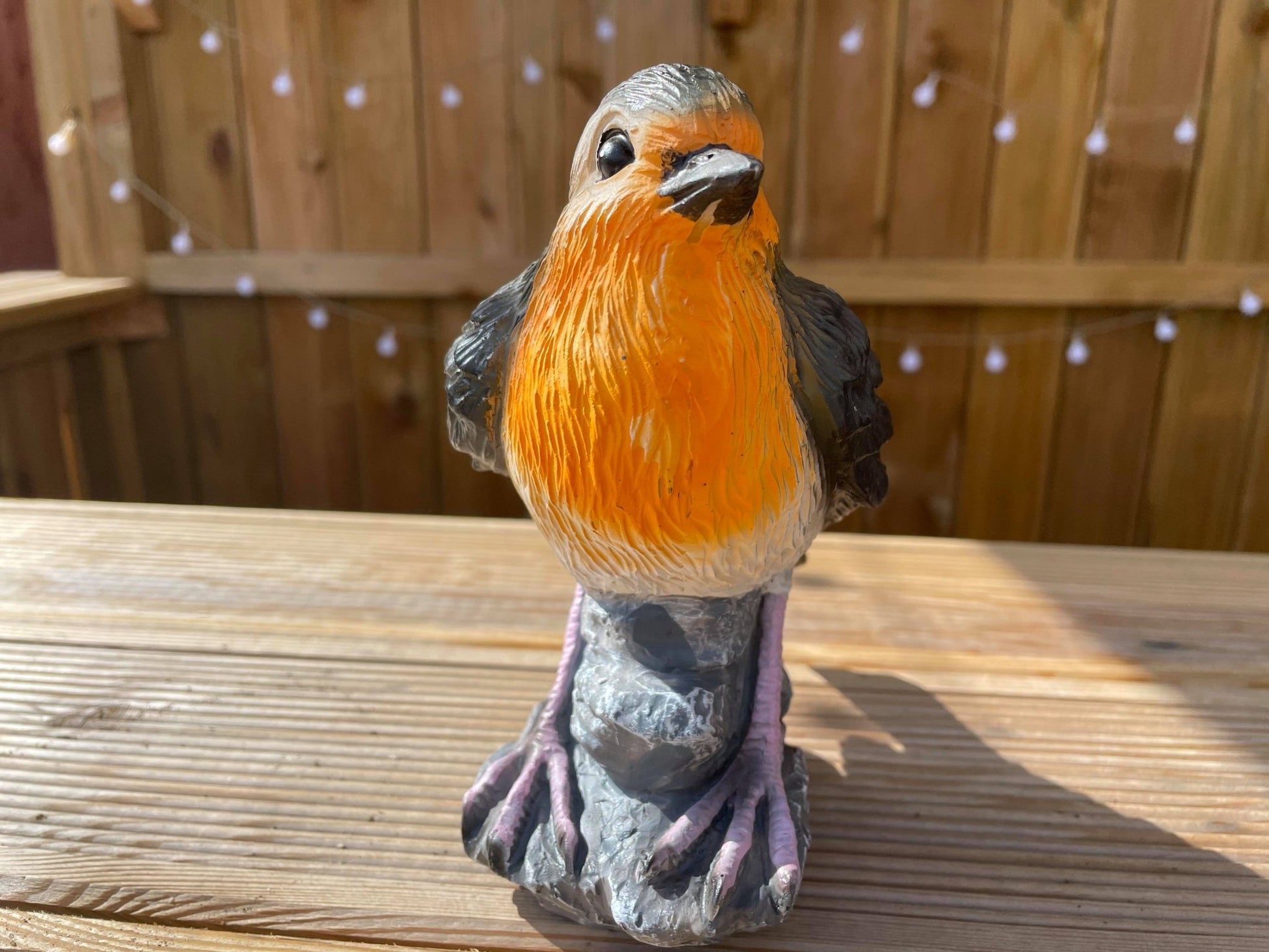 Radiant Robins - Backyard Bliss