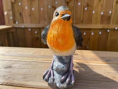 Radiant Robins - Backyard Bliss