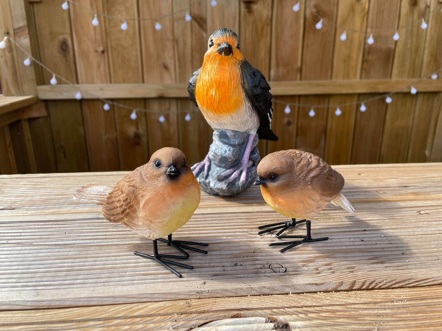 Radiant Robins - Backyard Bliss