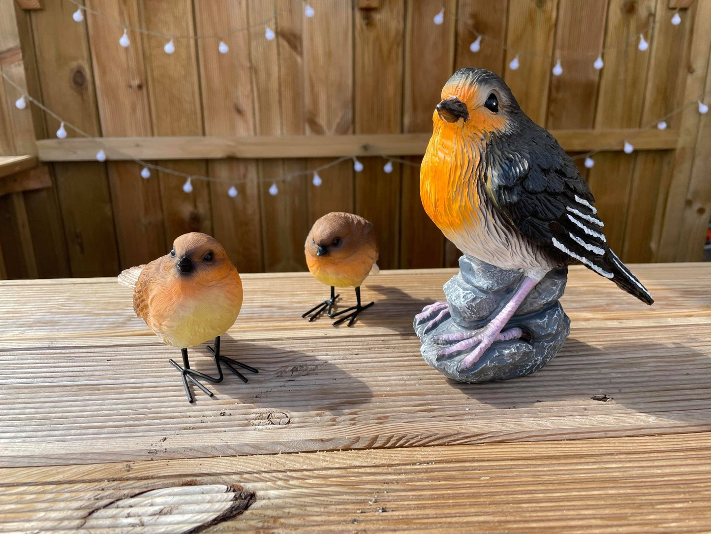 Radiant Robins - Backyard Bliss