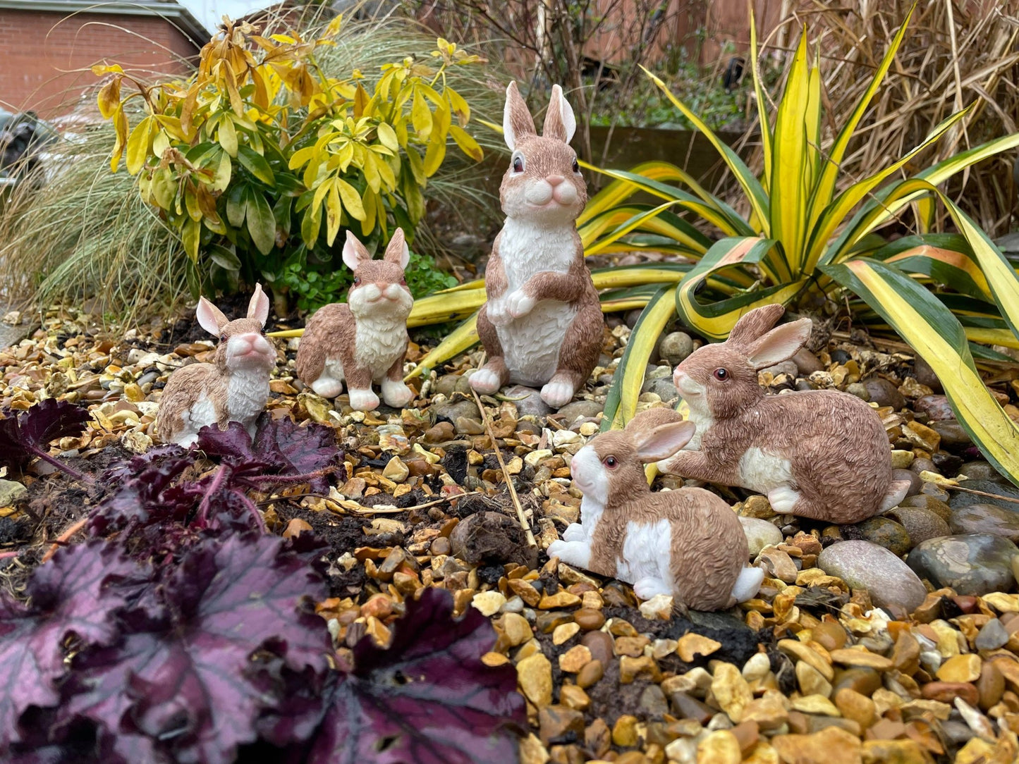 Rambunctious Rabbit Family - Backyard Bliss