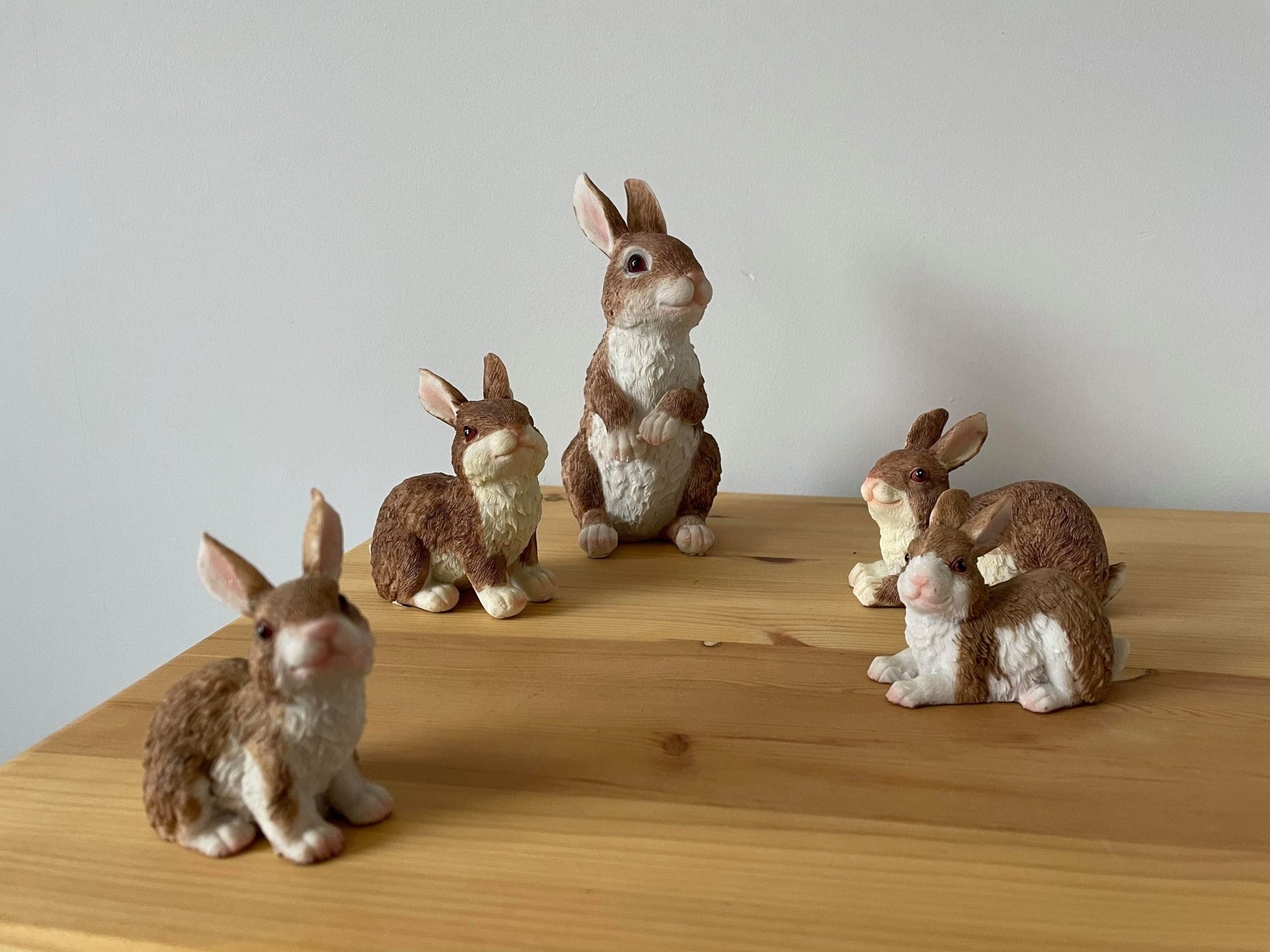 Rambunctious Rabbit Family - Backyard Bliss