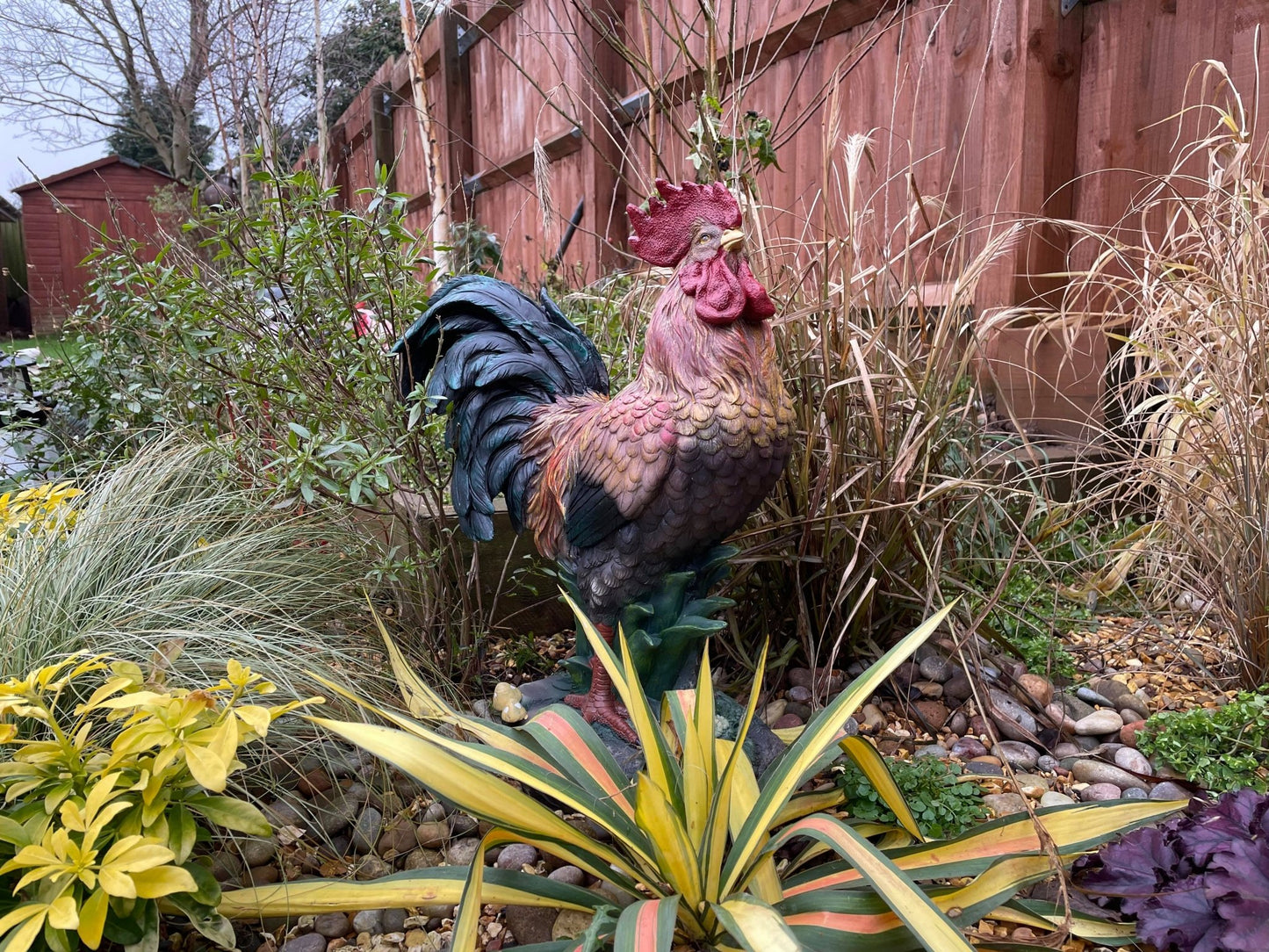 Rascally Rooster - Backyard Bliss