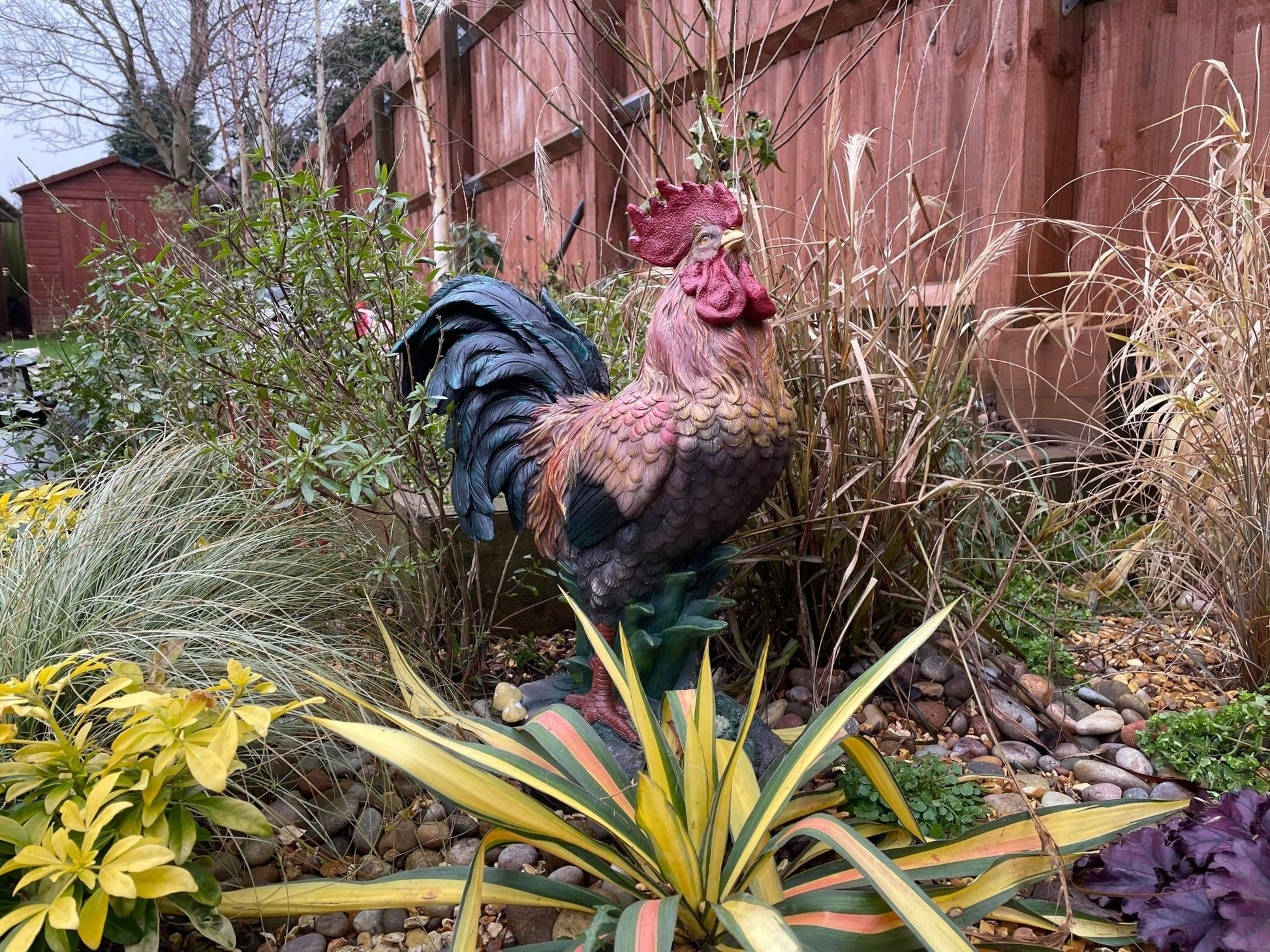 Rascally Rooster - Backyard Bliss