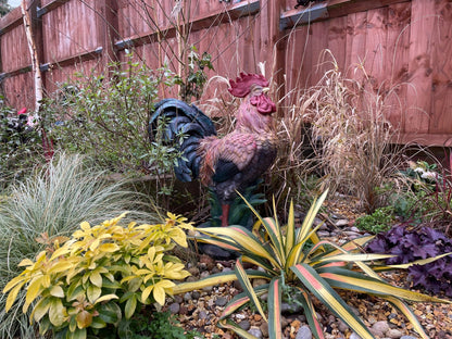 Rascally Rooster - Backyard Bliss