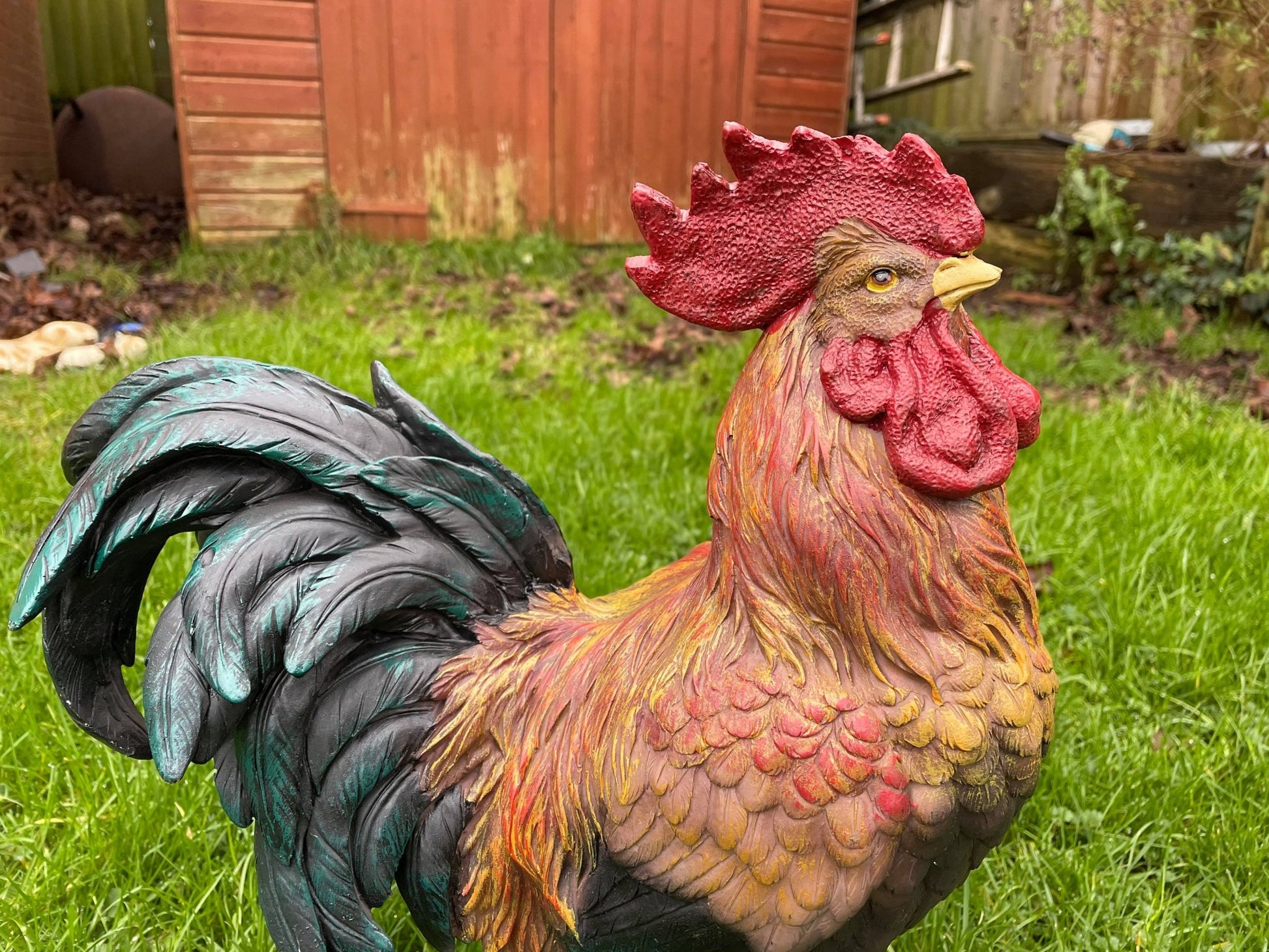 Rascally Rooster - Backyard Bliss