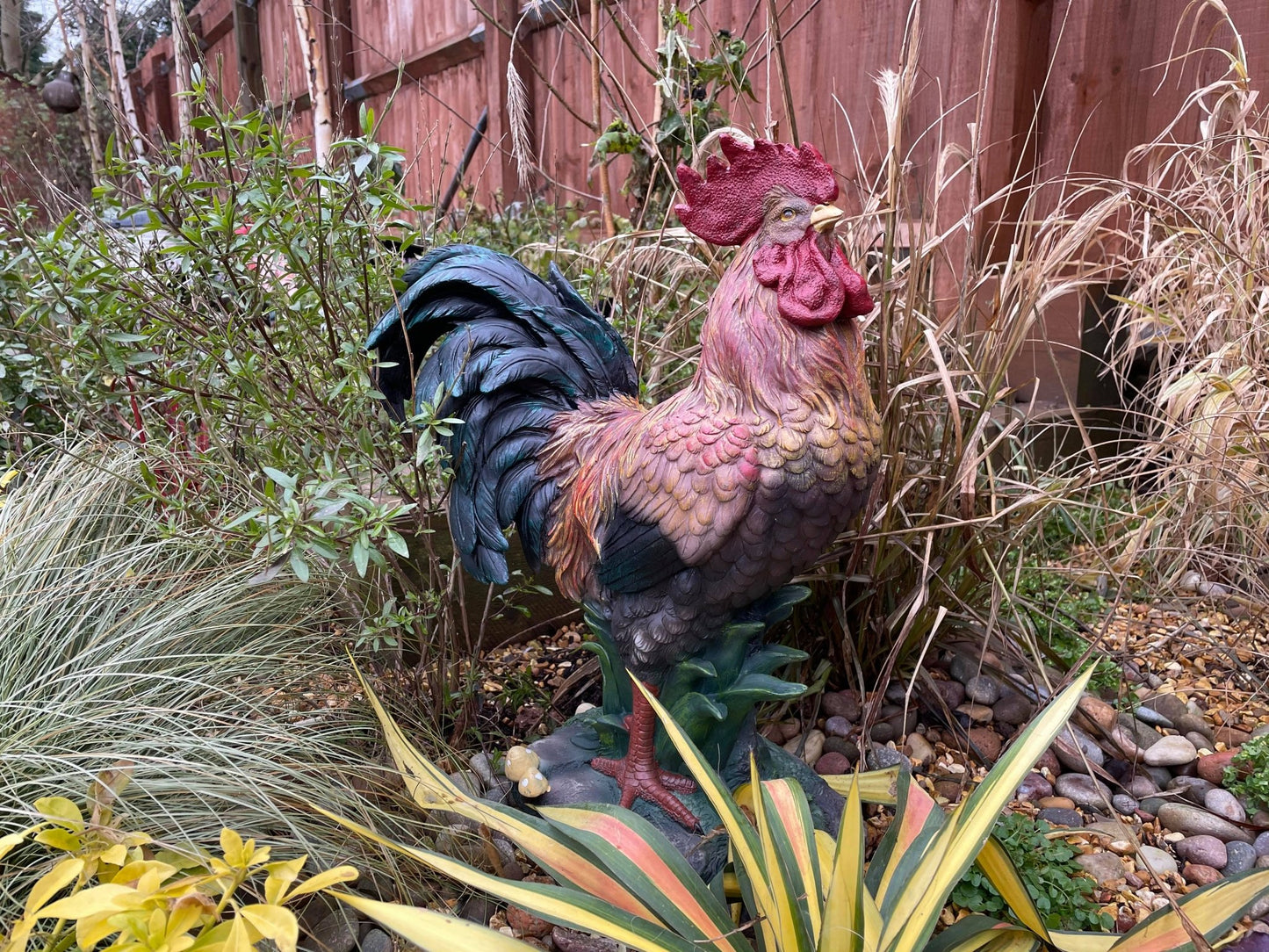 Rascally Rooster - Backyard Bliss