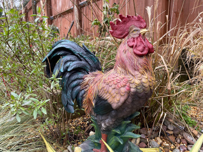 Rascally Rooster - Backyard Bliss