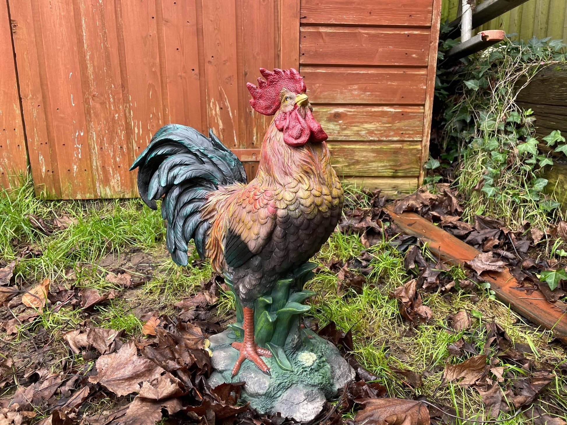 Rascally Rooster - Backyard Bliss