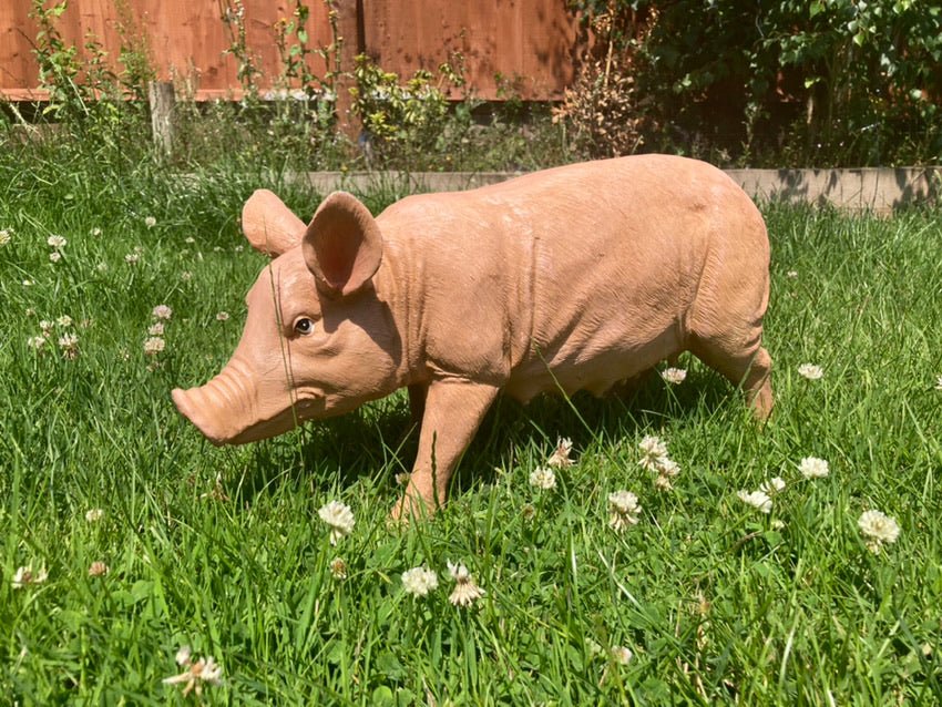 Rasher the Pig - Backyard Bliss