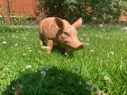 Rasher the Pig - Backyard Bliss