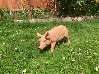 Rasher the Pig - Backyard Bliss