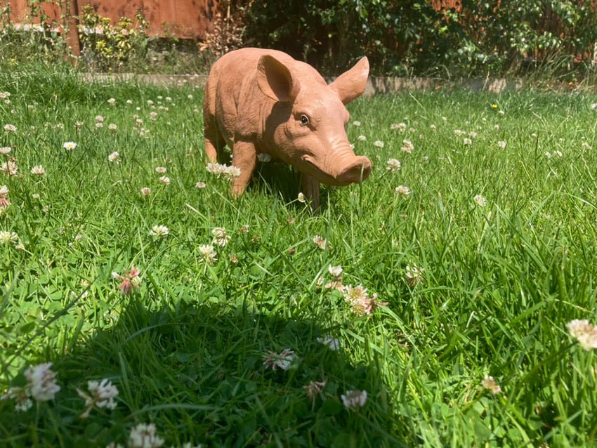Rasher the Pig - Backyard Bliss