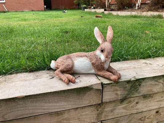 Relaxing Rabbit - Backyard Bliss