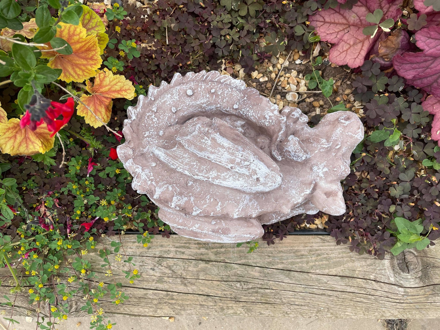 Sleeping Dragon - Backyard Bliss