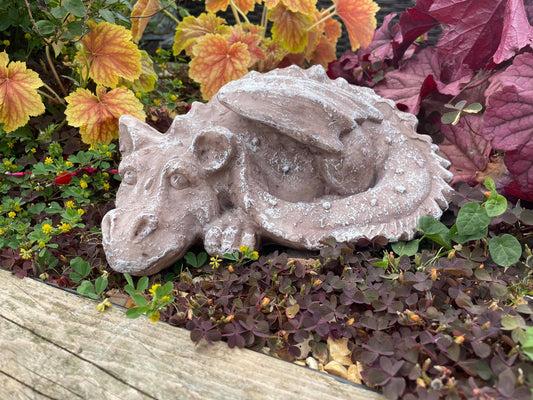 Sleeping Dragon - Backyard Bliss