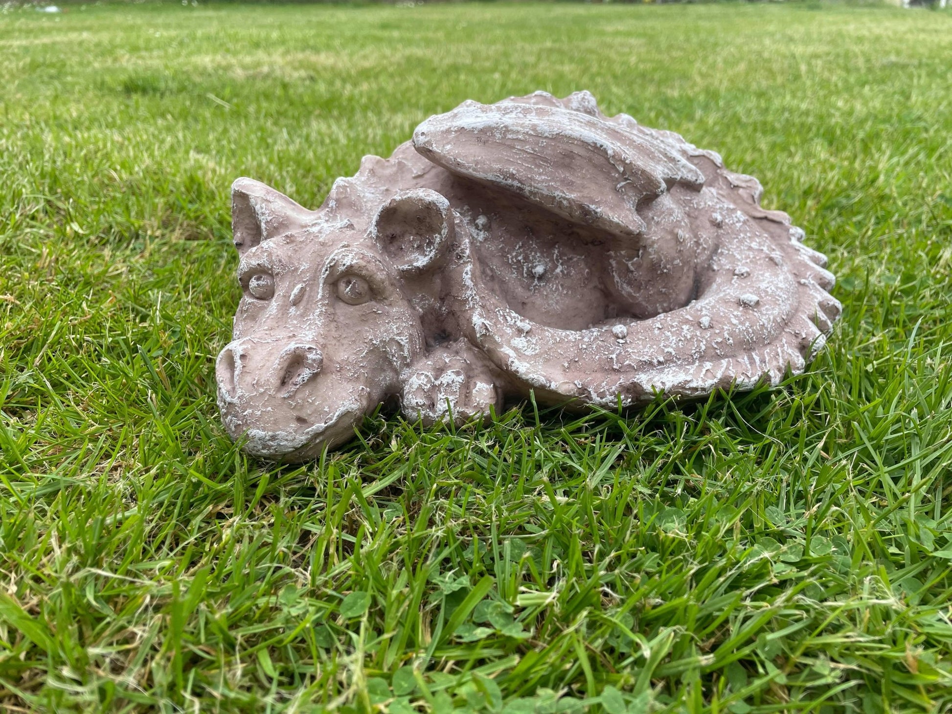 Sleeping Dragon - Backyard Bliss