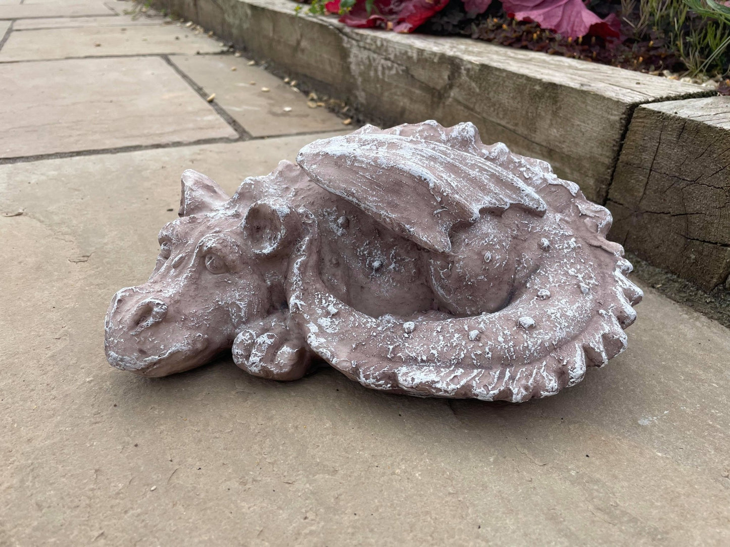 Sleeping Dragon - Backyard Bliss