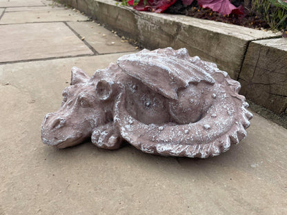 Sleeping Dragon - Backyard Bliss