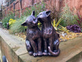 Two Preening Cats - Backyard Bliss