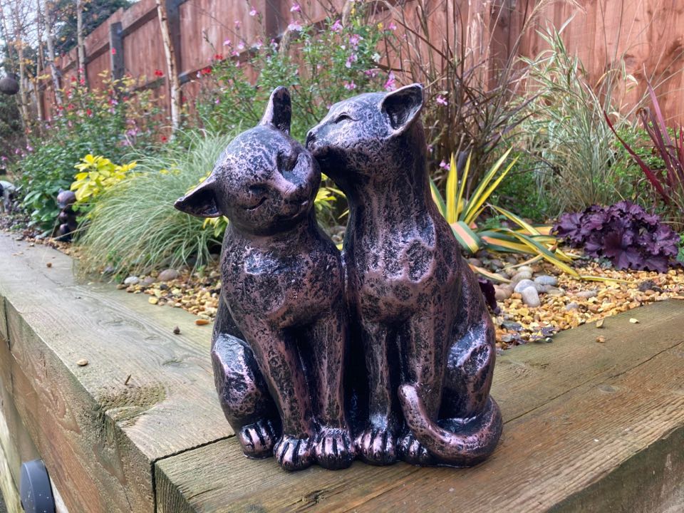 Two Preening Cats - Backyard Bliss