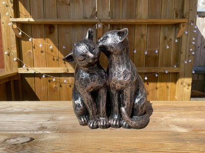 Two Preening Cats - Backyard Bliss