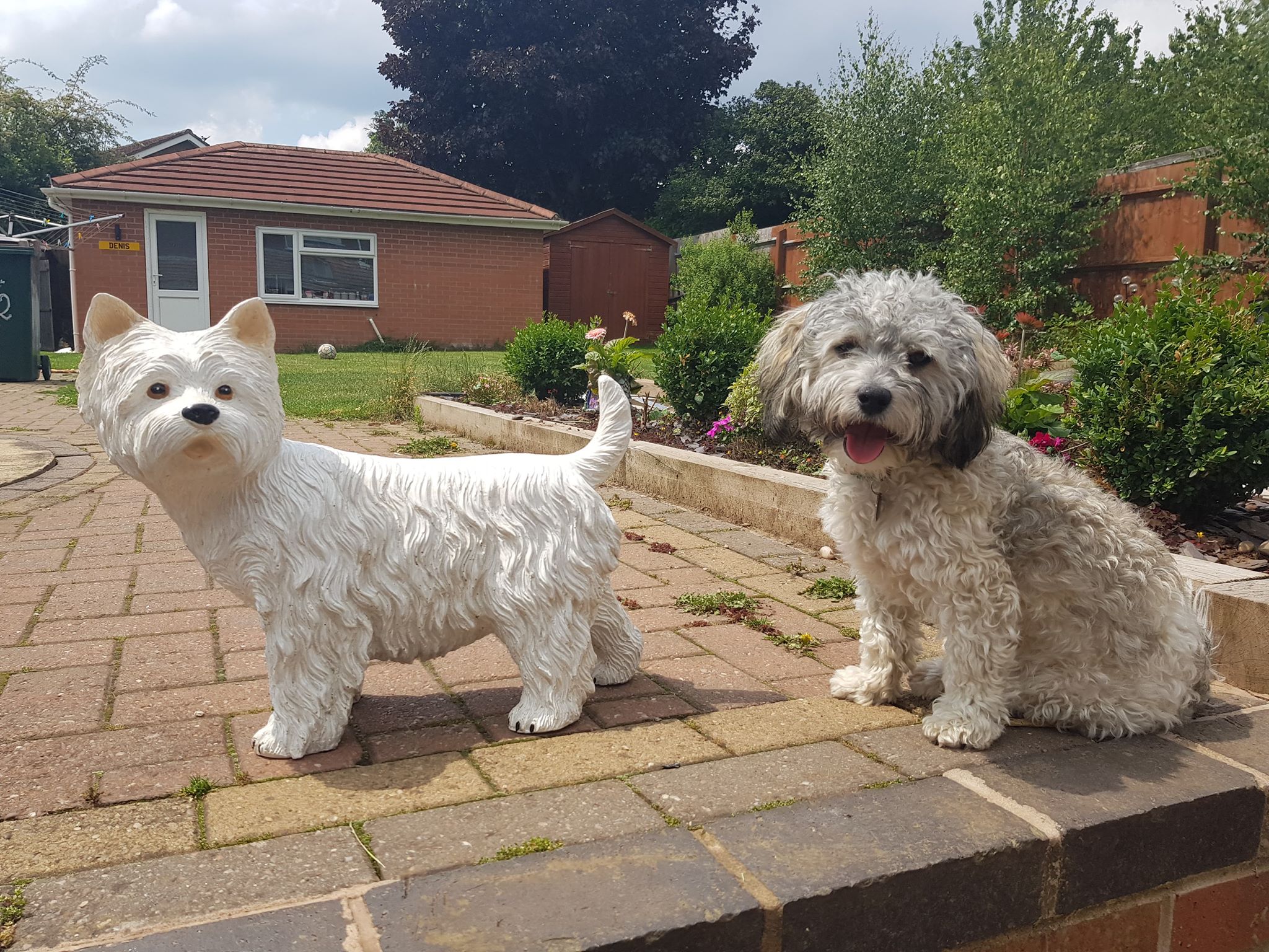Westie/West Highland Terrier Ornament
