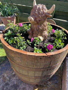 Customer photo